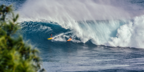 Die SurfSpots von Noosa in Australien: ein Geheimtipp?