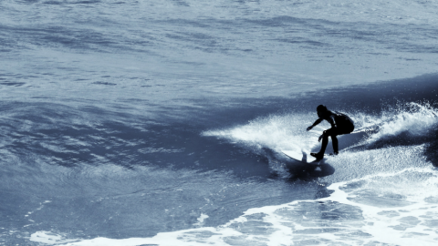 Fünf wichtige Surftipps