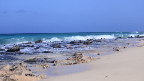 Was dich im Surfcamp auf Fuerteventura erwartet