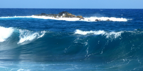 Surfen auf Oahu Hawaii